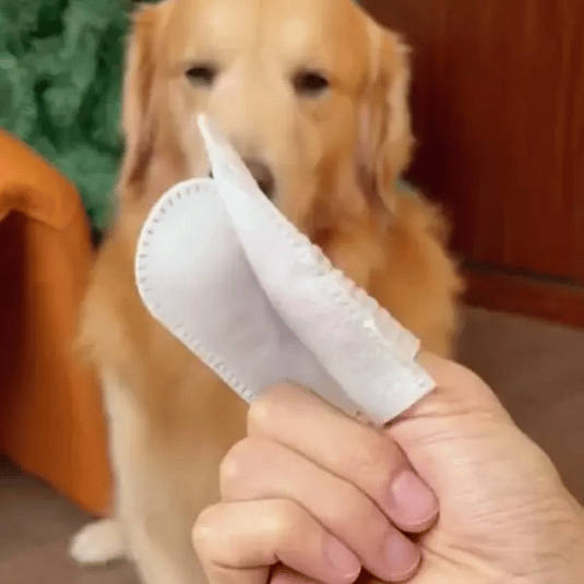 Pet Teeth Cleaning Finger Wipes