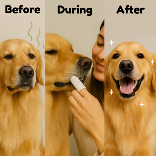 Pet Teeth Cleaning Finger Wipes
