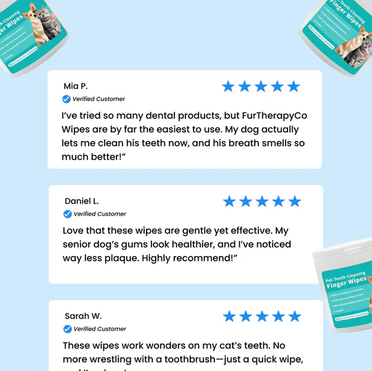 Pet Teeth Cleaning Finger Wipes
