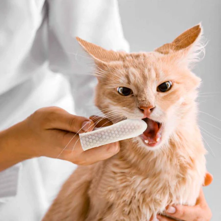 Pet Teeth Cleaning Finger Wipes