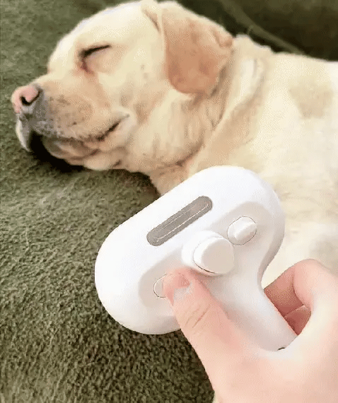 The Ultimate 3-in-1 Pet Grooming Brush