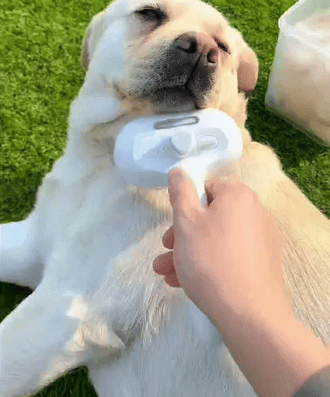 The Ultimate 3-in-1 Pet Grooming Brush