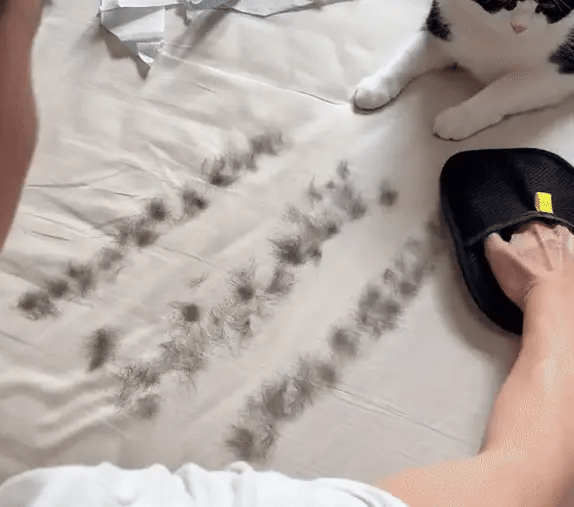 Pet Hair Removal Glove